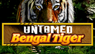 Untamed Bengal Tiger